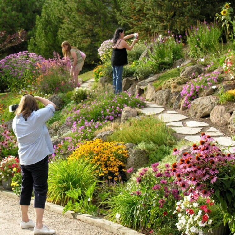 Dozens of different flower varieties on a steep hillside. Three women take photos as they walk along a stepping stone path