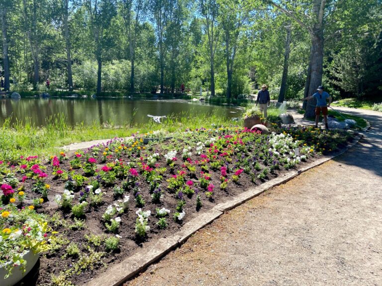 A vibrant flower bed with pink, white, and yellow blooms beside a calm pond, with two people walking along a shaded path.