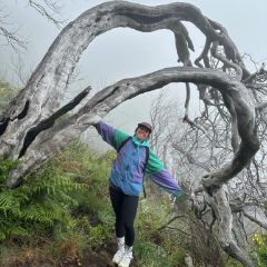 woman in hiking clothes posing underneath a crooked tree trunk
