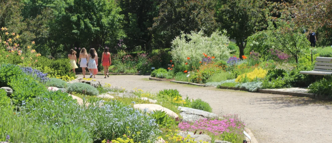 Visitors walking on a trail