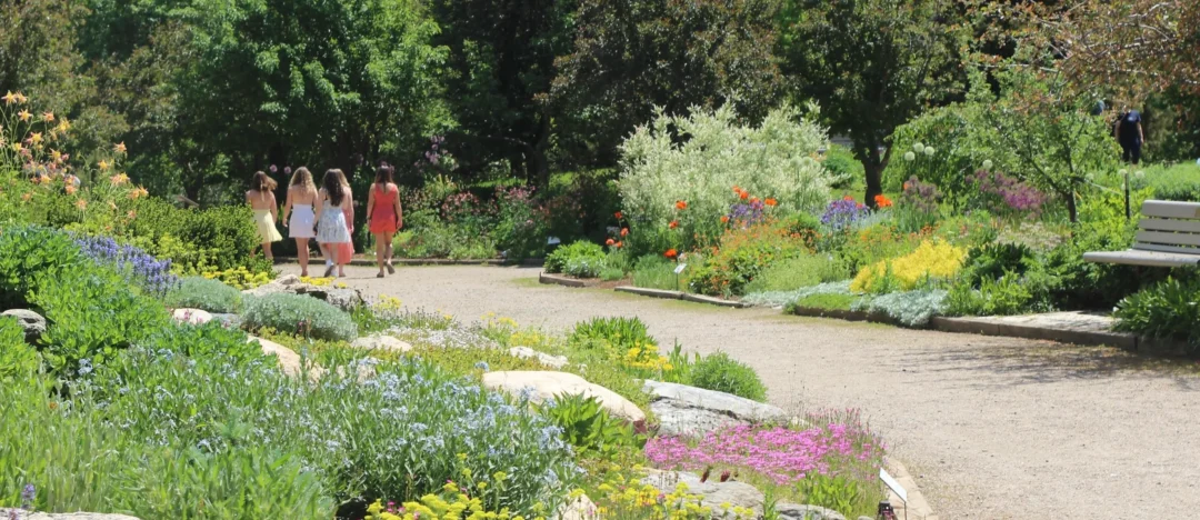 Visitors walking on a trail