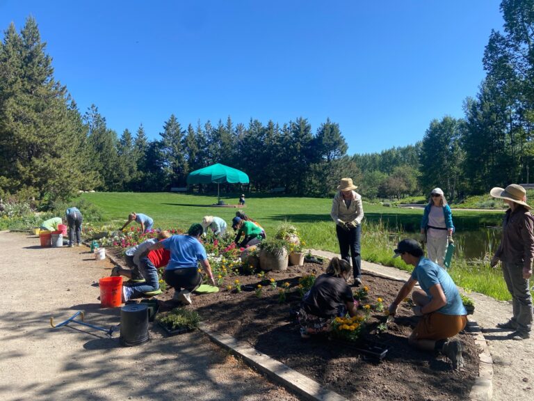 Group of volunteers planting colorful flowers in a garden bed under a clear blue sky with trees and lawn in the background.