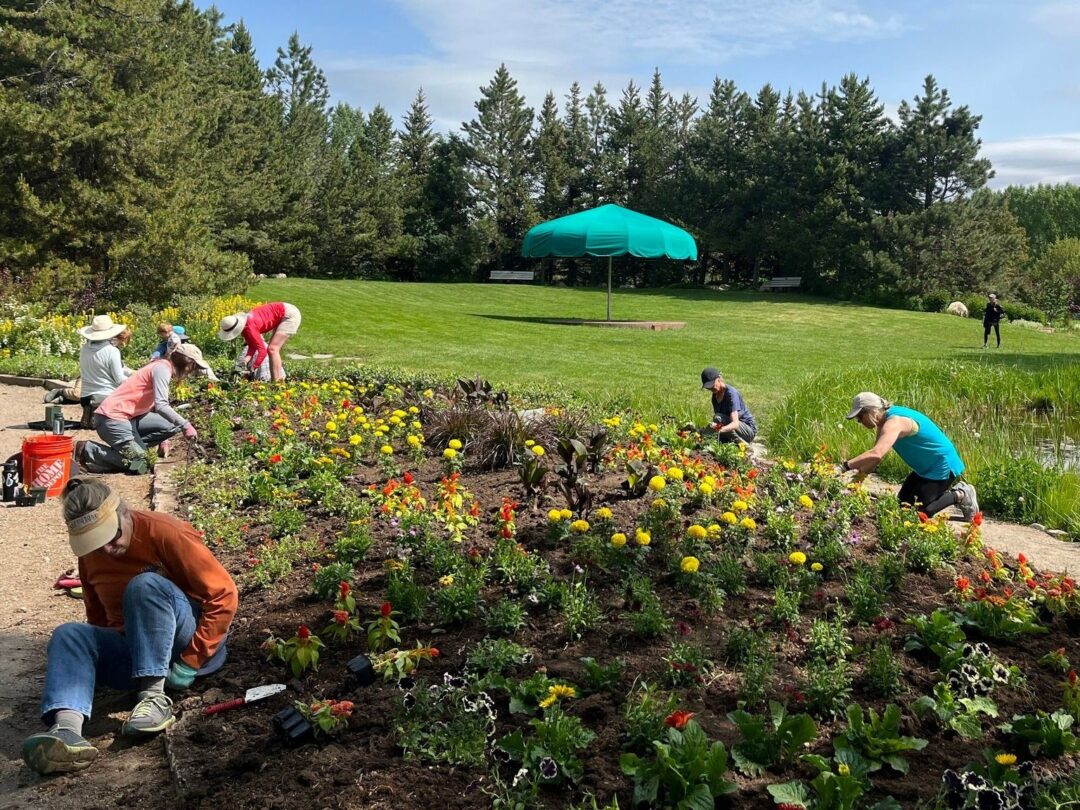 Volunteers planting the Annuals Garden