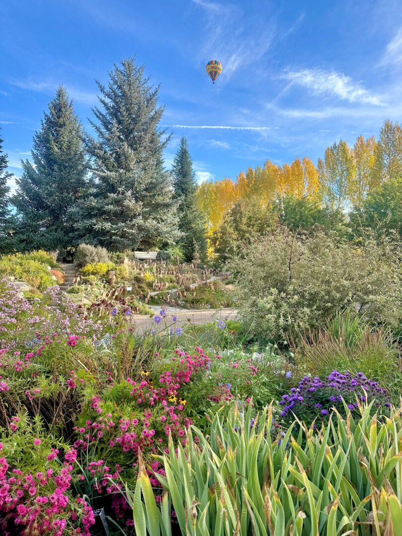 Fall foliage behind the variety of flowers in the Arbor Garden with a hot air balloon in the sky