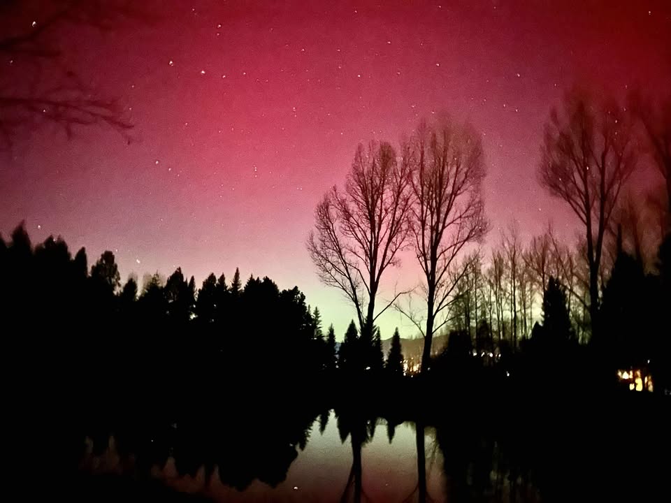 Pink aurora borealis above a black treeline