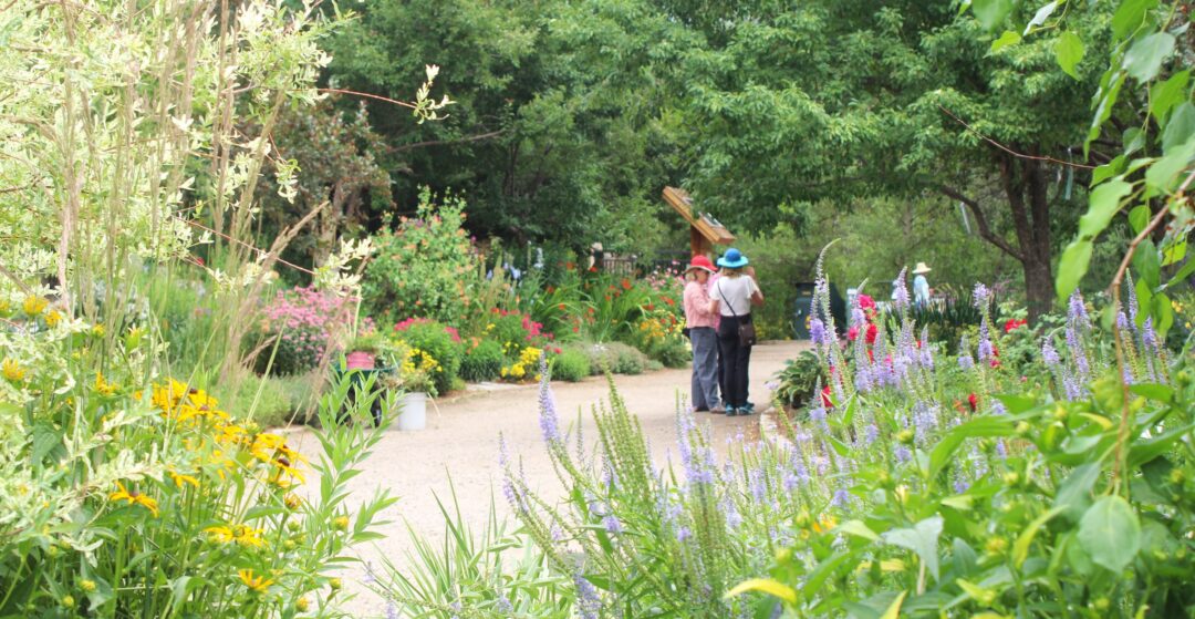 Guests on a path in a botanical garden