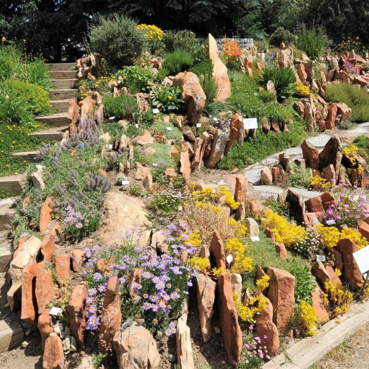 Yellow and purple flowers along with green bushes grow between an arrangement of dozens of thin rusty orange rocks sticking out of the ground.