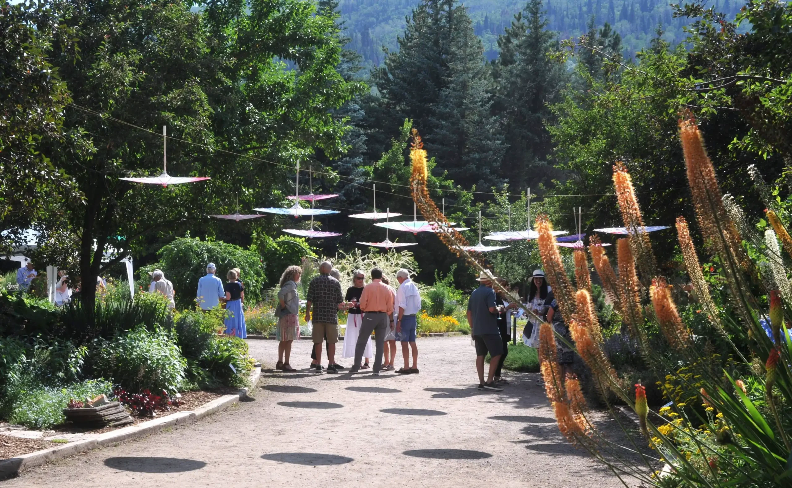 Group of men and women walking on dirt pathway during a tour.