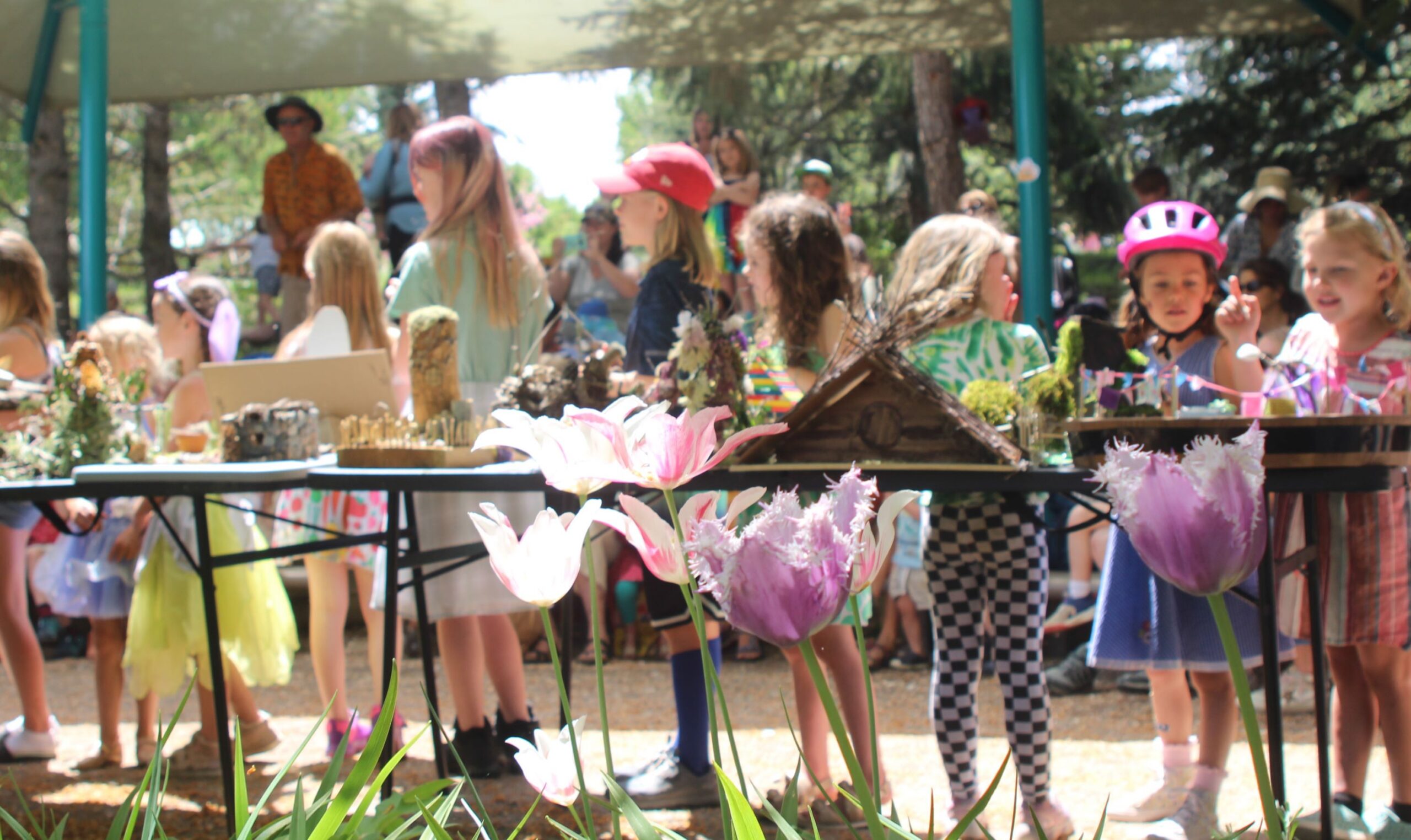 Children lined up behind tulips