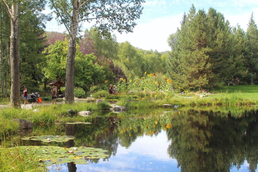 Alpine garden with a reflecting pond