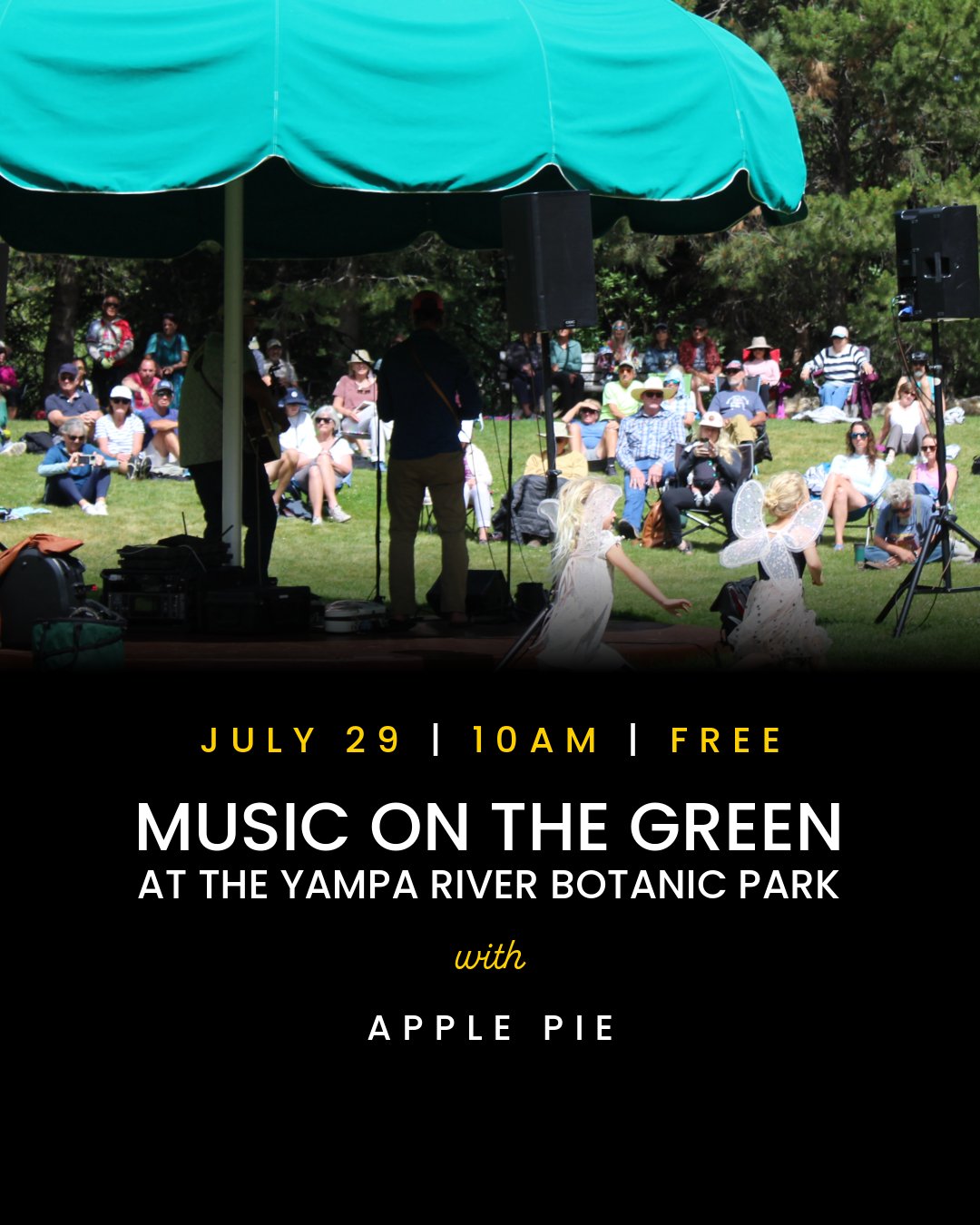 Music on The Green flyer July 29