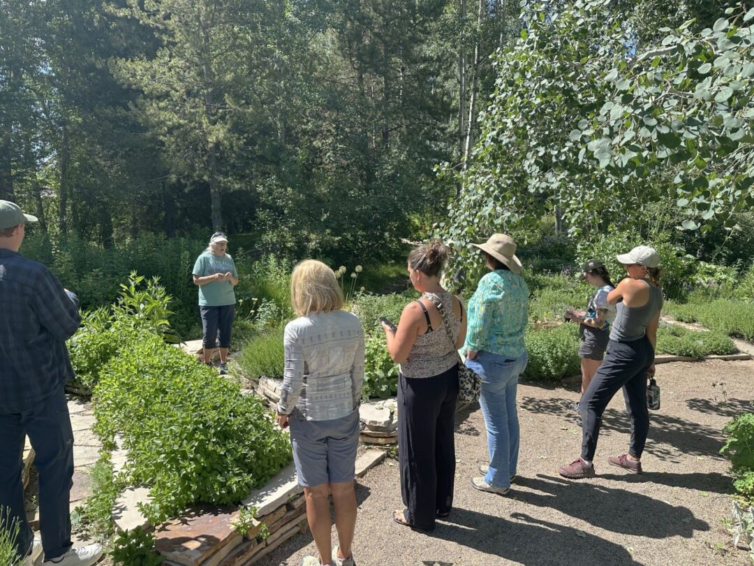 Gardener leading a talk for an audience in a garden