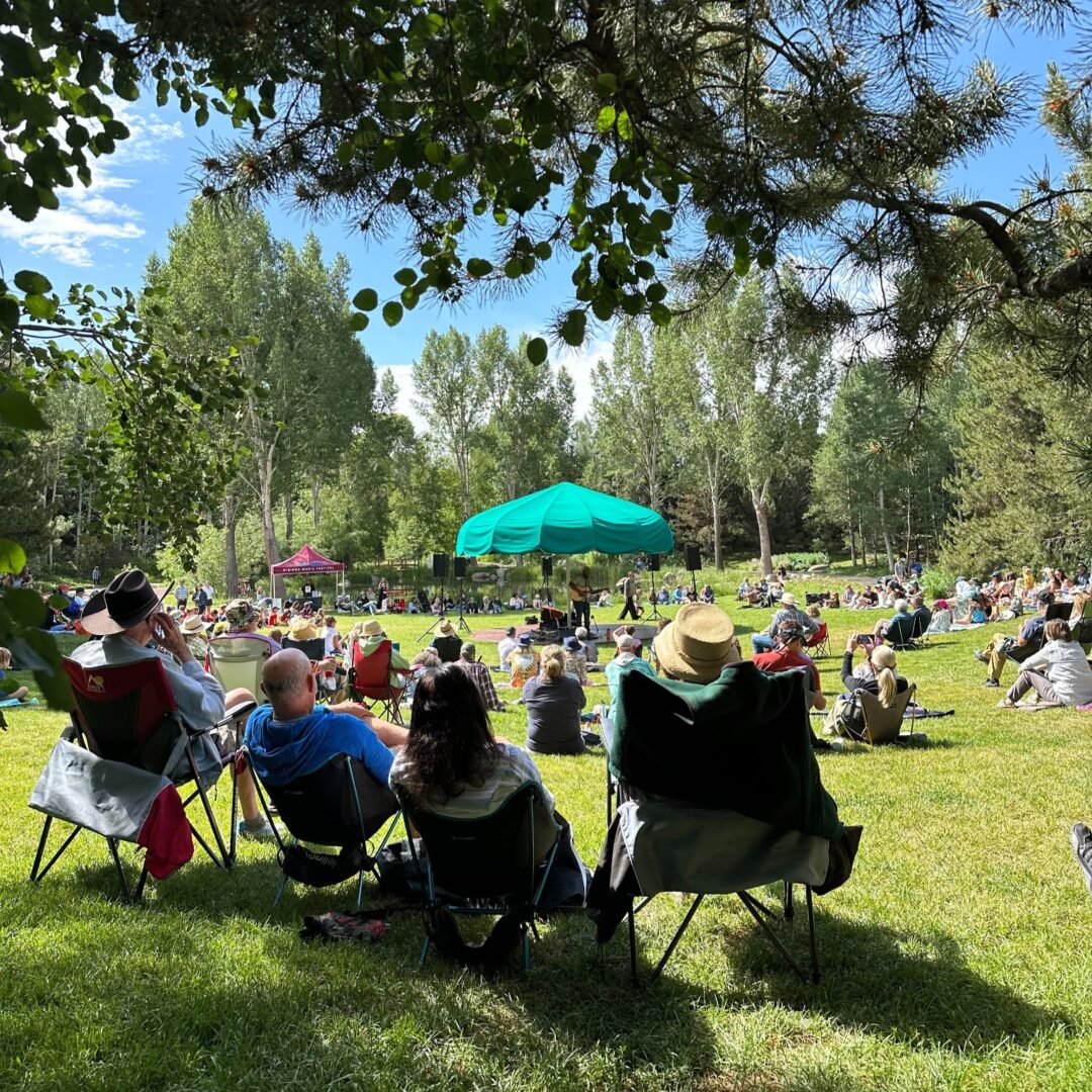 Visitors attending an outdoor concert
