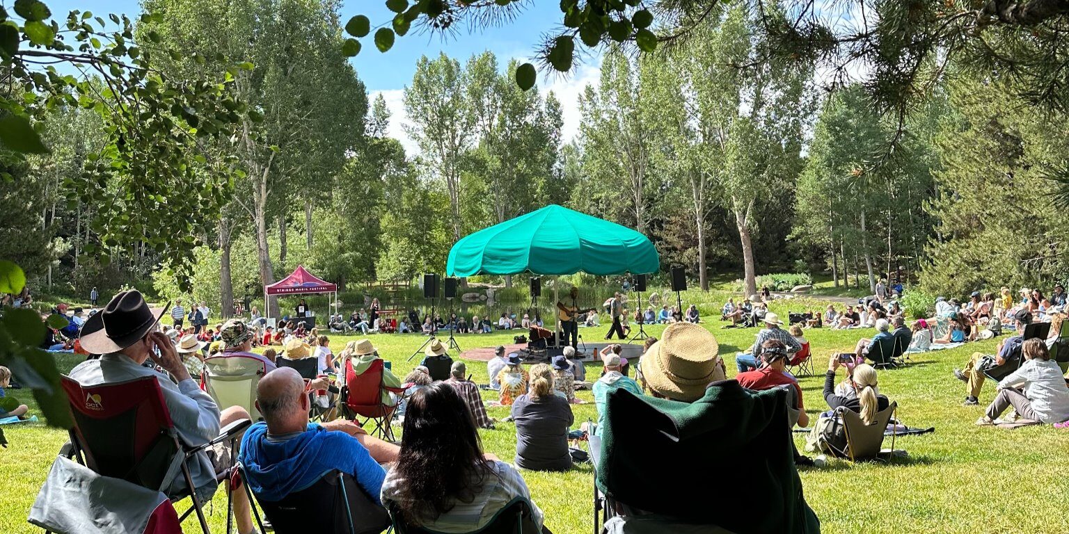 Visitors attending an outdoor concert