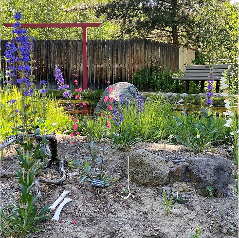 Flowers and tall grasses dispersed throughout rocky terrain