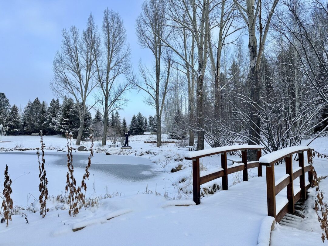 Snow-covered wooden bridge beside a frozen pond