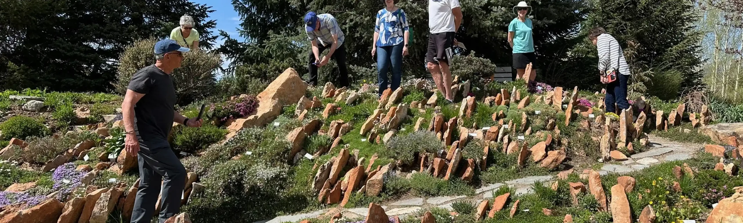 A tour guide walks with a group of guests through the crevice gardens, which are covered in flat rocks embedded vertically with flowers blooming between the rocks.