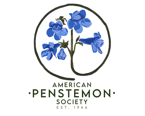 American Penstemon Society Est. 1946
