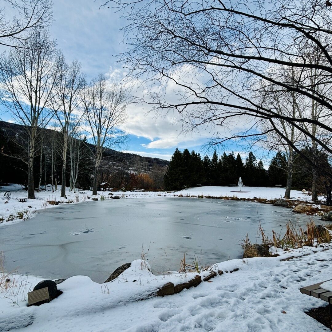 Frozen pond surrounded by snow and bare trees in winter.