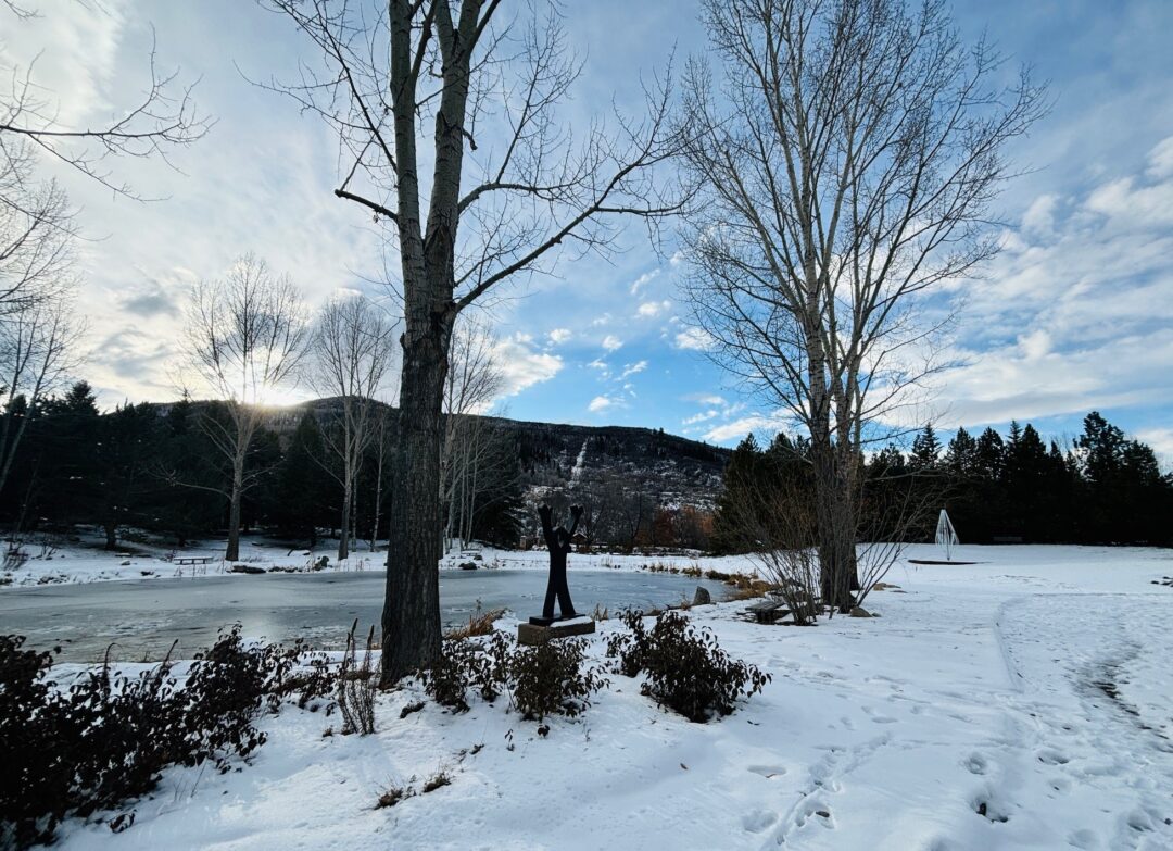 Peter's Pond surrounding by snow in winter