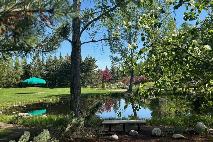 Expansive view of the botanical garden with a small pond, grass, and trees.