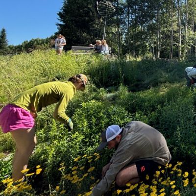 Several people tending to a large garden.