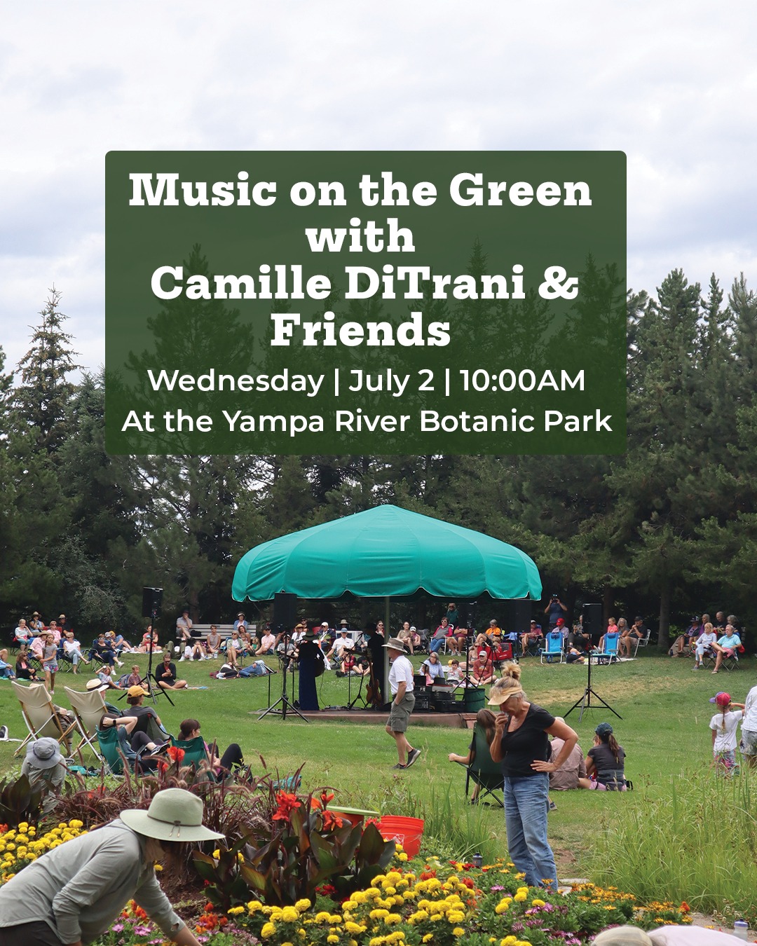 Advertisement for Music on the Green: with Camille Ditrani and Friends
