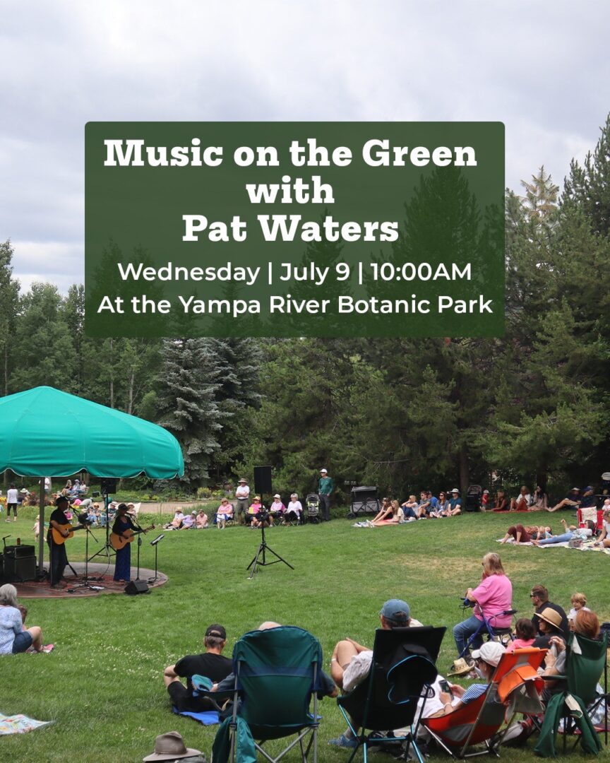 Advertisement for Music on the Green with Pat Waters