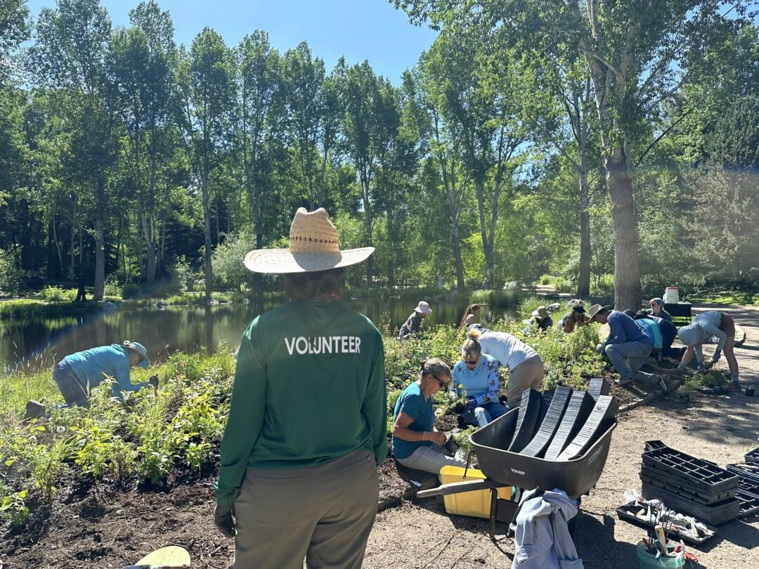 Volunteers planting a garden
