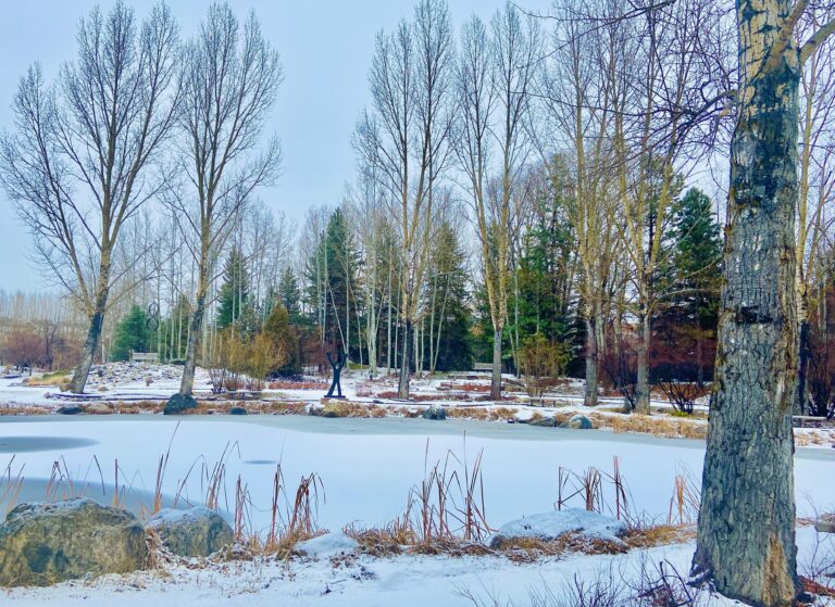 Snow-covered pond surrounded by bare trees and evergreens under a pale winter sky.