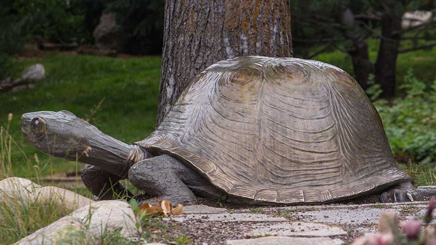 A bronze lifelike sculpture of a turtle
