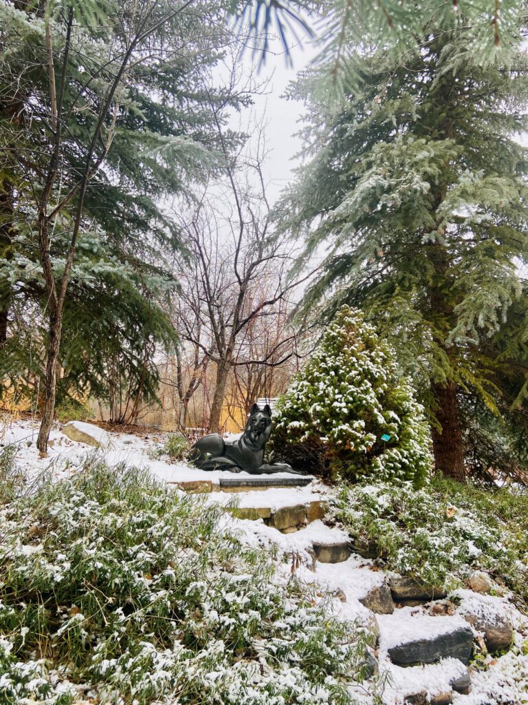 Snow-covered forest garden with a wolf statue on stone steps.